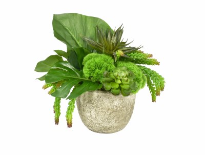 19" Faux Tropical Leaves and Succulents In A Light Pot