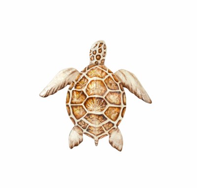 11" Brown Shell Capiz Turtle Wall Plaque