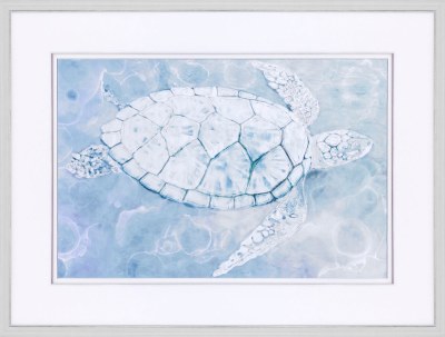31" x 41" Under The Water Turtle Framed Prnt Under Glass