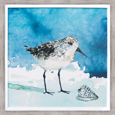 27" Square Shore Bird With Shell Facing Right Framed Gel Print