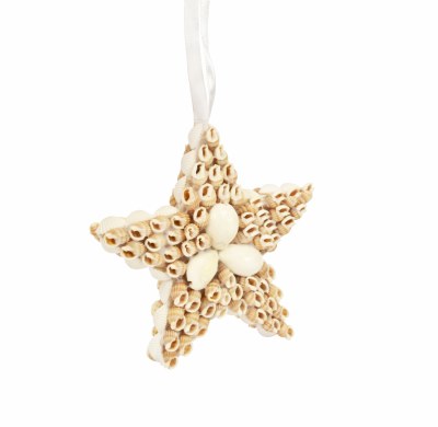 4" White Shell Star Ornament