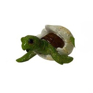 3.5" Turtle In Egg With Head Facing Down