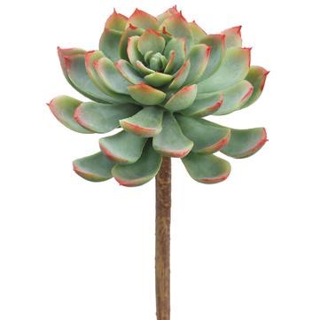 7" Faux Green and Red Echeveria