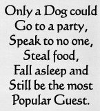 "Only A Dog Could Speak To No One, Steal Food, Fall Asleep and Still Be The Most Popular Guest" Kitchen Towel