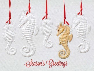 5" x 4" Box of 10 Seahorse Season's Greeting Cards
