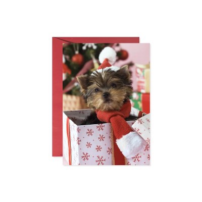 Yorkie in a Gift Box Christmas Card