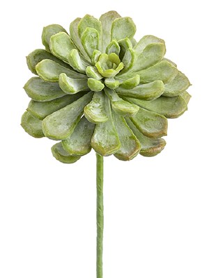 6" Faux Green Baby Aeonium Pick
