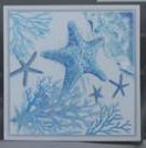24" Square Blue and White Starfish Framed Canvas