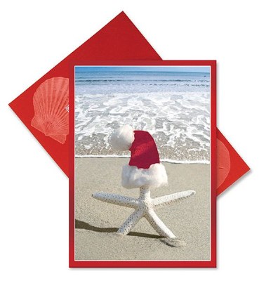 5" x 7" Box of 16 Starfish With Hat Cards