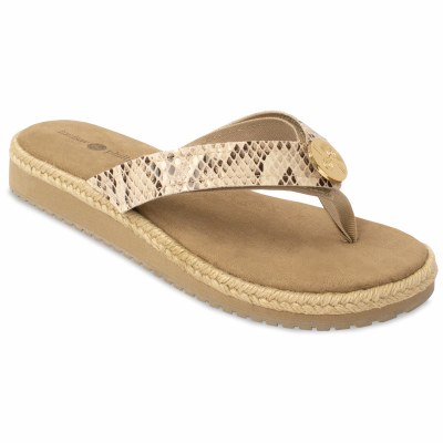 Size 7 Lindsay Phillips Taupe Keeley Strap Flip Flop