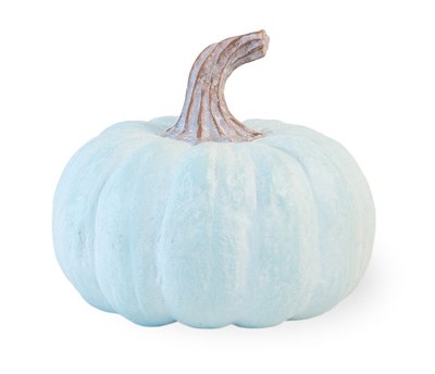 5" White Washed Blue Pumpkin Resin Fall and Thanksgiving Decoration