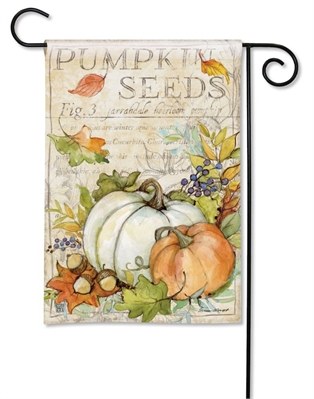 Mini Pumpkin Seed Flag