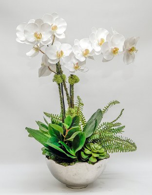27" Faux White Orchids and Succulents in Silver Bowl