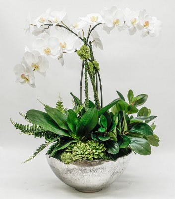 29" Faux White Orchid Trio and Succulents in Large Silver Bowl