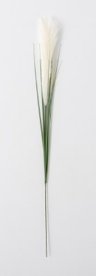 34" Faux White Reed Grass Stem