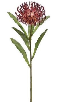 26" Faux Burgundy Open Needle Protea Spray