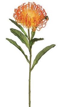 26" Faux Orange Open Needle Protea Spray