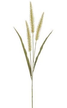 36" Faux Beige Foxtail Grass Spray