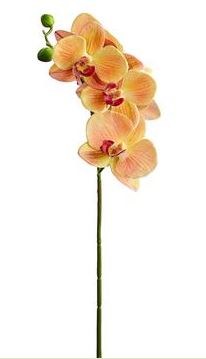 24" Faux Orange and Burgundy Small Phaleo Orchid Spray