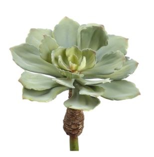 11" Faux Gray Green Soft Echeveria