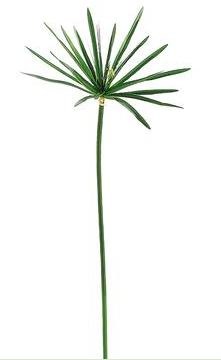 42" Faux Green Cypress Grass Stem