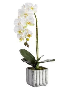 22" Faux White Phaleo Orchid Plant in Cement Pot