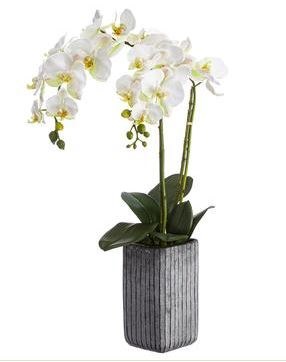 28" Faux Double White Phaleo Orchid Plant in Cement Pot