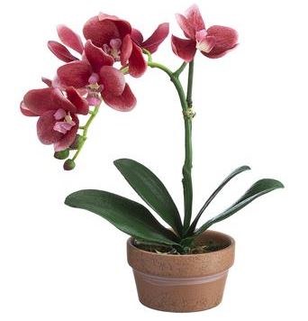 11" Faux Pink Phaleo Orchid Plant in Terracotta Pot