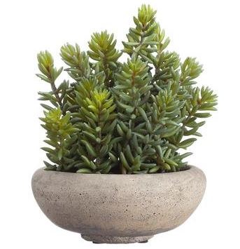 9" Faux Green and Red Stonecrop Sedum in Gray Cement Pot