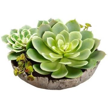 7" Faux Green Succulent Garden in Low Cement Pot