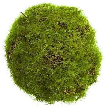 3" Faux Green Moss Orb