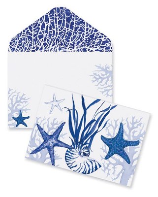 Box of 10 4" x 5" Blue Indigo Shells Note Cards