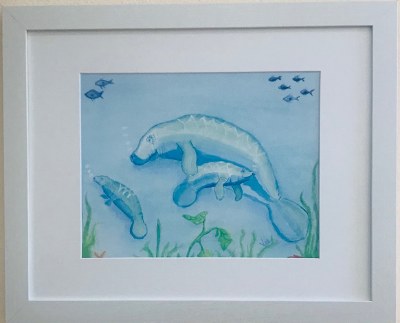 13" x 16" Manatee Mom and Baby Manatee White Framed Wall Art Under Glass