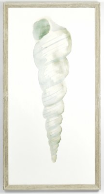 42" x 22" Aqua Cone Shell Gel Textured Print in Gray Frame