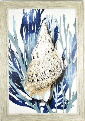 40" x 28" Whelk Shell Gel Textured Coastal Print in Gray Frame