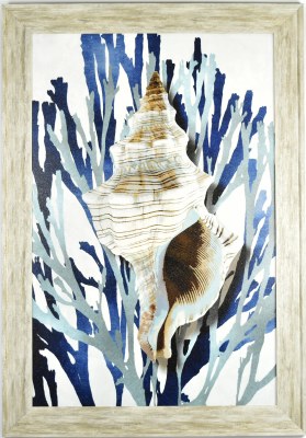 40" x 28" Fox Shell Gel Textured Coastal Print in Gray Frame