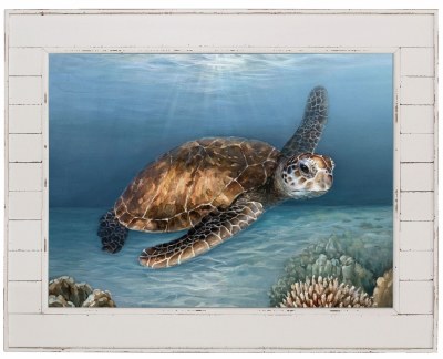 40" x 50" Sea Turtle Canvas in Distressed White Shiplap Frame