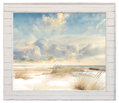 48" x 60" Beach Dune Photo Under Glass in Distressed White Shiplap Frame Under Glass