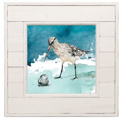 14" Square Sandpiper Snail Shell Coastal Print in a  Distressed White Shiplap Frame Under Glass