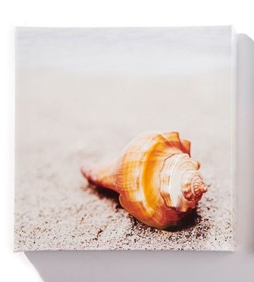 8" Square Shell on Beach Canvas Wall Art