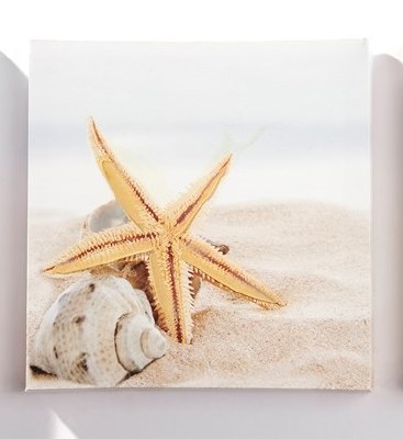 8" Square Starfish and Shell on Beach Canvas Wall Art