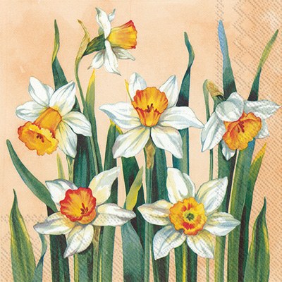 5" Square White Narcissus on Apricot Beverage Napkin