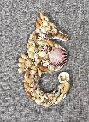 12" Mixed Natural Shells Seahorse Wall Plaque