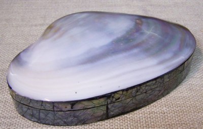 7" River Clam and Cracked Abalone Velvet Lined Box