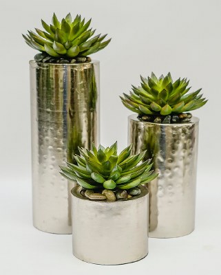Set of 3 Faux Succulents in Silver Cylinders