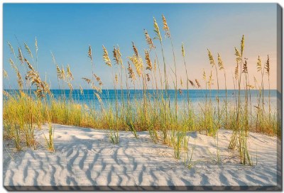 38" x 60" Sand Dune Love The Beach Canvas Wall Art