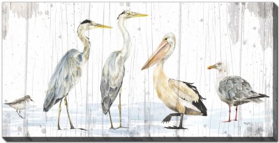 30" x 60" Birds of the Coast Canvas Wall Art