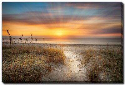 38" x 60" Sandy Walk At The Dunes Canvas Wall Art