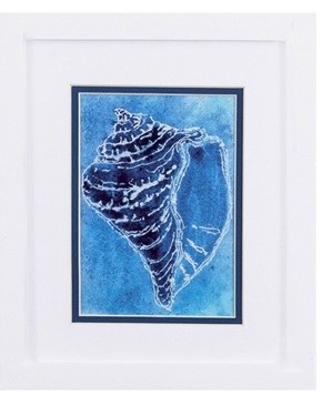 11" x 9" Dark Cerulean Conch Shell in White Frame Under Glass