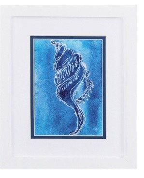 11" x 9" Dark Blue Whelk in White Frame Under Glass